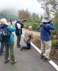 A group of birders in Doi Ang Khang