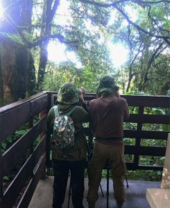 Couple birdwatching in Doi Inthanon National Park